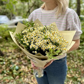 Ромашка кустовая в крафте