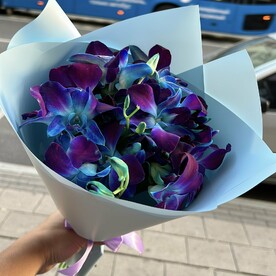 Букет Орхидея космическая