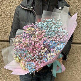 Гипсофила Радужная