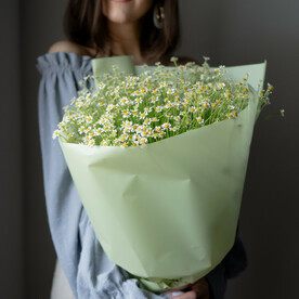 Букет ромашек