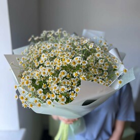 Букет из ромашек 15 штук