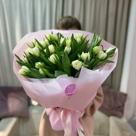33 белых тюльпана в розовой упаковке
