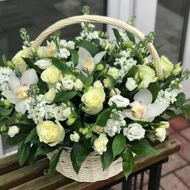 Белое солнце