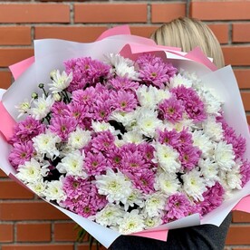 Микс хризантем