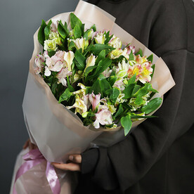 Альстромерия