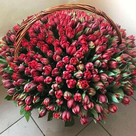 Букет "8 марта" из тюльпанов