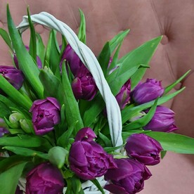 Корзина тюльпанов