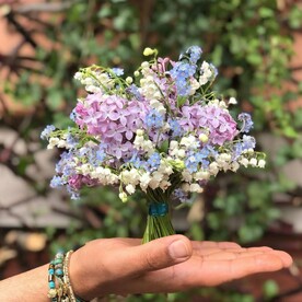 Счастье в ладони