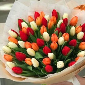 Букет 65 тюльпанов