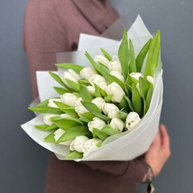 Букет из 25 белых тюльпанов (моно 043)