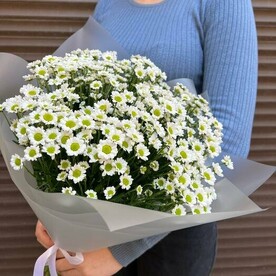 Букет ромашки сантини 11 (моно 076)
