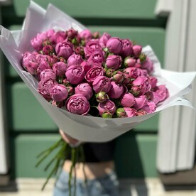 Букет из 15 пион роз (моно 037)