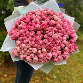 Супер букет из 51 пионовидной кустовой розы (моно 032)