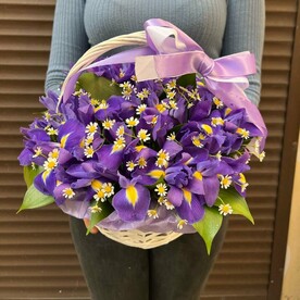 Корзина с ирисами и ромашками (к 009)