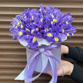 Ирисы в шляпной коробке (К 005)