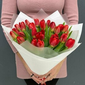 Букет из 25 красных тюльпанов (моно 050)