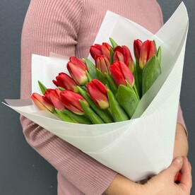 Букет из 15 красных тюльпанов (моно 041)