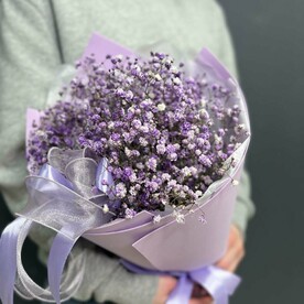 Букет из гипсофилы (моно 044)