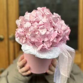 Гортензия розовая в шляпной коробке (к 036)