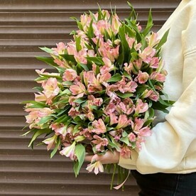 Букет из 35 розовых альстромерий ( моно 170 )