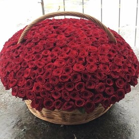 251 Роза в корзине