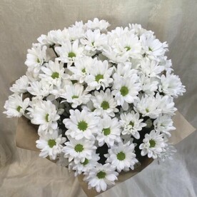 Ромашковое поле