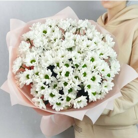 Ромашки хризантемы