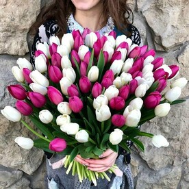 Композиция из тюльпанов 101 штука