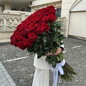 51 красная роза голладская