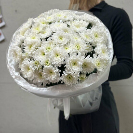 Букет из белых хризантем L