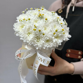 Хризантема в тубусе