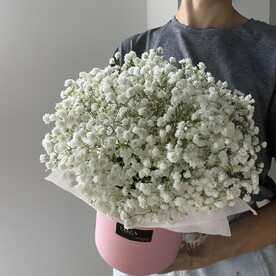 Коробочка с белой гипсофилой