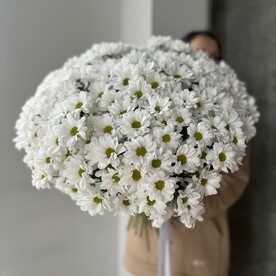 Большой букет из ромашек