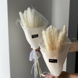 Сухоцветы камыш