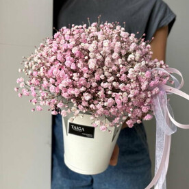 Коробочка розовой гипсофилы