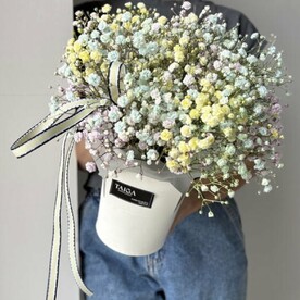 Коробочка радужной гипсофилы