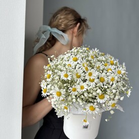 Коробочка с ромашками и гипсофилой