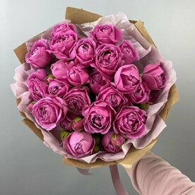 Мисти Баблс х7