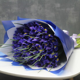 Букет из 51 ирисов