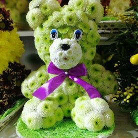 Зелёная мишка из кустовых хризантем