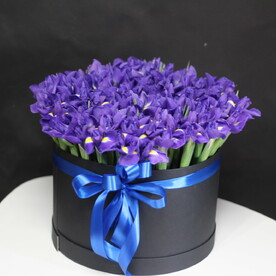 101 ирисы в коробке 💙💙💙