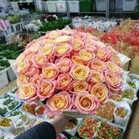 Букет из 51 роз в сизале