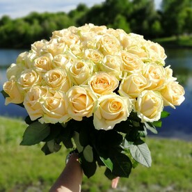 Букет из 29 кремовых роз в ленте