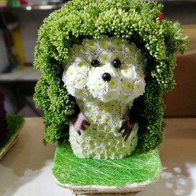 Игрушка из живых цветов