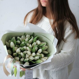 Голландские тюльпаны