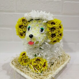 С днём рождения