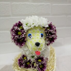 С днем рождения