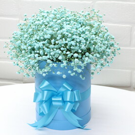 💙9 Гипсофил в коробке супер подарок💙💙💙💙