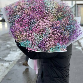 Большой букет из 49 гипсофил