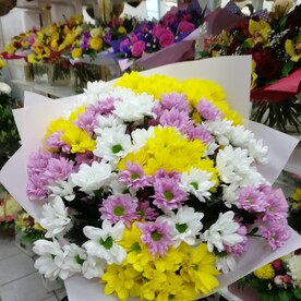 Букет из 15 хризантема кустовая, открытка в подарок